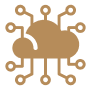 IT Law